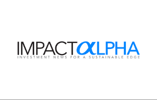 ImpactAlpha – “You have an impact investing strategy. What to call it?”
