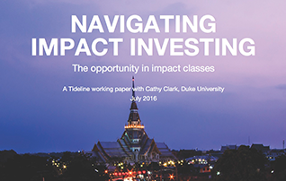 Navigating Impact Investing: The Opportunity in Impact Classes