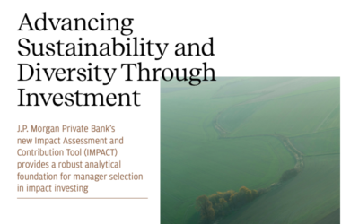 Case Study: Advancing Sustainability and Diversity Through Investment