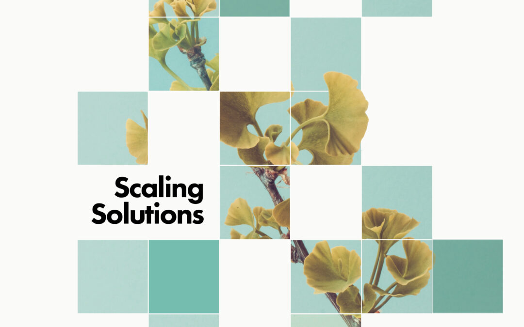 Scaling Solutions: The Fixed Income Opportunity Hiding in Plain Sight